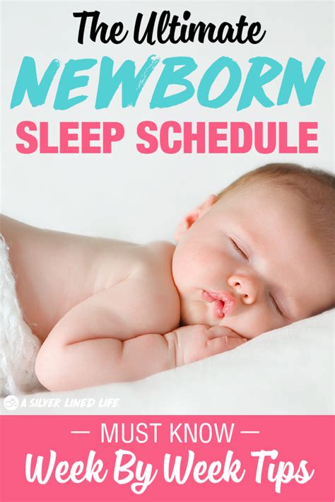 Puppy crate training schedule example. The Ultimate Newborn Sleep Schedule, Week By Week Tips ...
