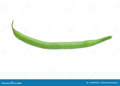 One Green Bean Stock Image Image Of Concept Health 152400553