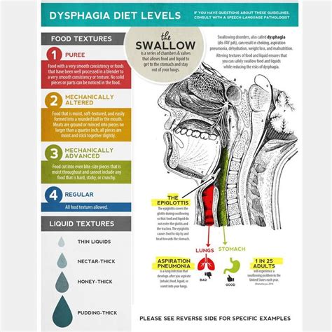 Handout Dysphagia Diet Textures Speech Therapy Materials Dysphagia