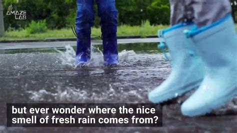 The Reason Why Rain Smells So Good Video Dailymotion