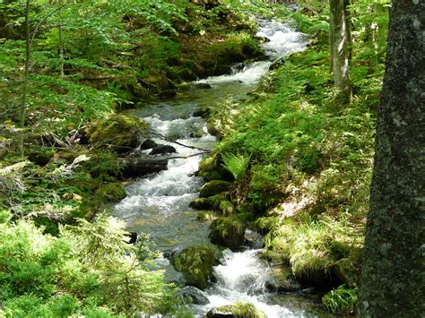 Bachlauf Im Nationalpark Bayrwald Foto And Bild Landschaft Bach