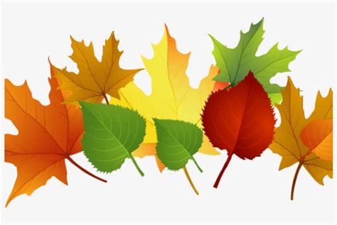 Fall Leaves Pile Clip Art Transparent Png 800x500 Free Download On