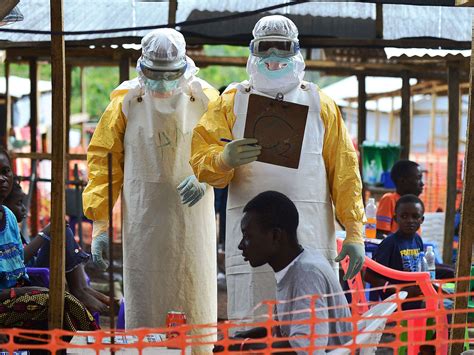 sierra leone declared ebola free after 42 days without disease the independent the independent