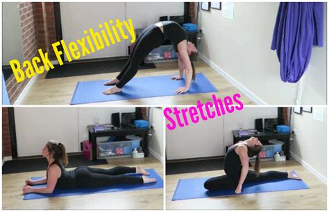 Back Flexibility Stretches