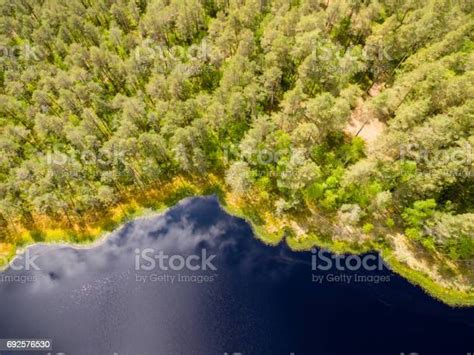 Gambar Drone Pemandangan Udara Daerah Pedesaan Dengan Danau Di Hutan