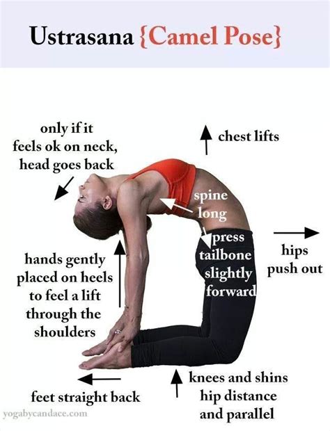 Whatever poses you're working on, remember this: Yoga pose explained...camel pose | How to Do Yoga ...