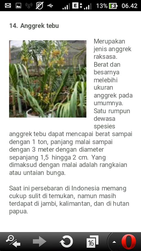 Kliping Flora Dan Fauna Langka Di Indonesia Penggambar