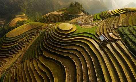 19 Spectacular Examples Of Terraced Agriculture Pics