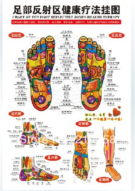 Chinese Chart Foot Reflective Zones Therapy Reflexology Massage Wall Poster On