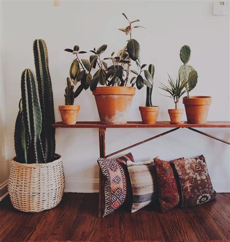 Cactus Styling Is A Big Trend In Home Decor They Add A Beautiful Touch