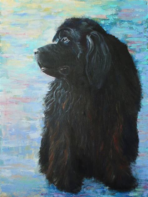 Newfoundland Dog Painting At Explore Collection Of