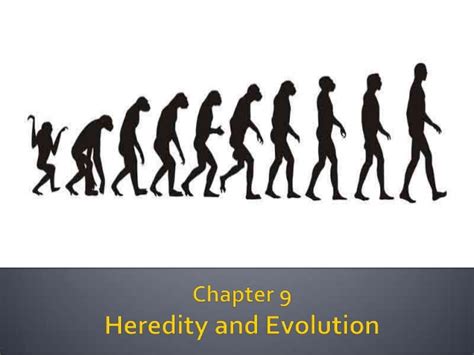 Heredity & Evolution Notes | Class 10th - Study Cbse Notes