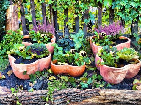 27 Terra Cotta Planter Ideas Garden Outline