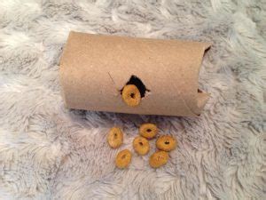 My dog has a ball we fill with her food to make her eat slower, why not make something for our cat. Homemade Puzzles - Food Puzzles for Cats