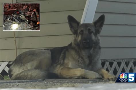 Lost Dog On New Hampshire Highway Leads Police To Owner Injured In
