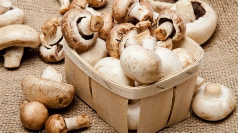These Are The 6 Reasons Why You Should Eat More Mushrooms Right Now