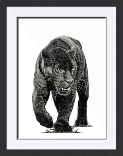 Black Panther Drawing By Paul Stowe Black Panther Drawing Art
