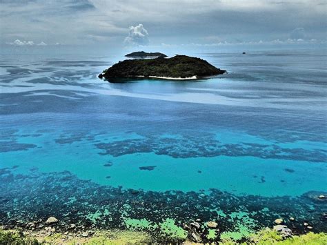 Online flowers to philippines are going in a tremendous growth. Best Places to Visit in the Philippines