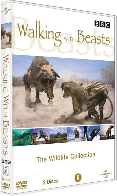 Bbc The Wildlife Collection Walking With Beasts Dvd Dvds