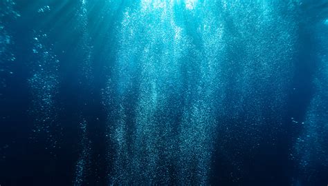 たらお Designq Ocean Blue Aquatic Abstract Impression I Modern Framed Wall