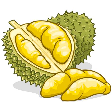 May 26, 2019 · gambar yang bagus untuk garskin hd download now jual cetak dan desai. PNG Durian Transparent Durian.PNG Images. | PlusPNG