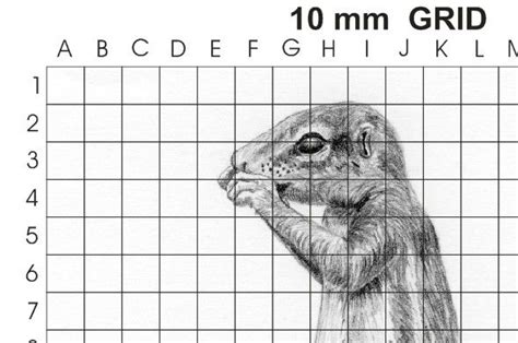 Learn To Draw 23 How To Use The Grid Method Tutorials How To Diy