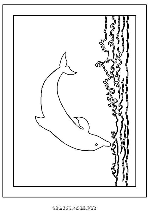 Hors De Ce Monde Coloriage Requin Et Dauphin Chauve Souris Imprimable