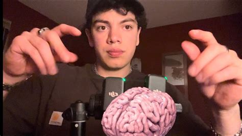Asmr Tickling Your Brain 🧠 Youtube