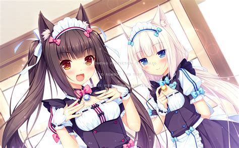 Check spelling or type a new query. neko para chocolat cute nekomimi happy girl