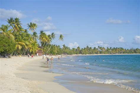 May 28, 2021 · marshall and strand worked with one of the couple's relatives. Wat te doen op Martinique: 10 tips! | Wereldreizigersclub