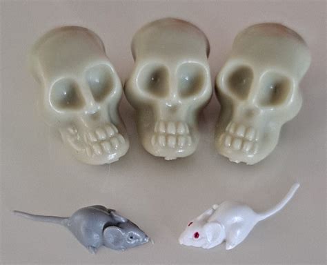 Miniature Mini Plastic Skeleton Skulls Craft Party Favors Etsy