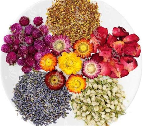 Maybe you would like to learn more about one of these? Dried Flowers Bulk Wholesale - Doranso