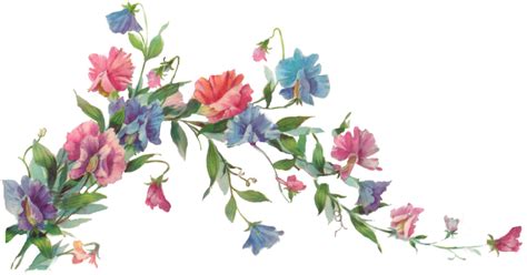 flowers png tumblr - Vintage Flowers Tumblr Png - Watercolor Flower