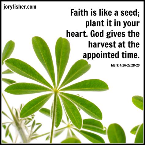 A Plant With The Words Faith Is Like A Seed Plant In Your Heart God