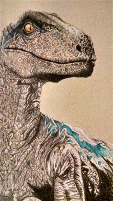 Blue Velociraptor Colored Pencil Drawing Blue Jurassic World