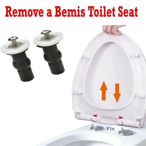 Bemis Statite Toilet Seat Removal - Velcromag