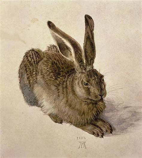 Albrecht Durer 1471 1528 Hare Watercolor On Paper 1502 Animal Art