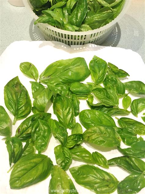 Ftd did their own experiment, and this strategy came out as by. How to store basil leaves. Two of the best techniques for ...