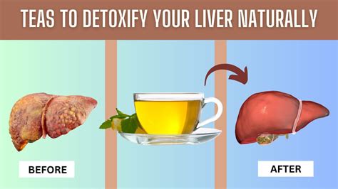 Detoxify Your Liver Naturally With 6 Powerful Teas Youtube