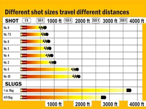 Shotgun Pellet Size Chart