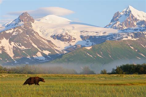 Hallo Bay Katmai National Park And Preserve Is Home To