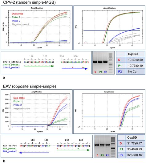 Demonstration Of Utility Of Dual Probe Taqman Qpcr In Diagnostic