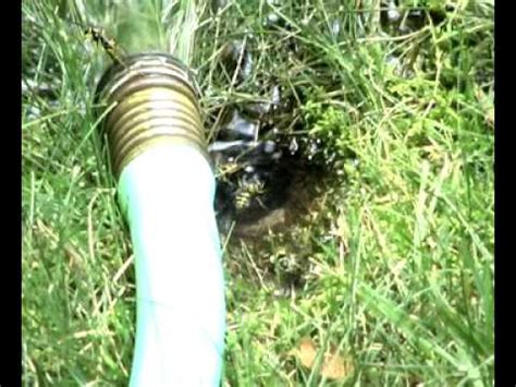 The distributed online freeware would change the browser settings to help creators generate profits. Yellowjacket Nest Vs. Garden Hose - YouTube