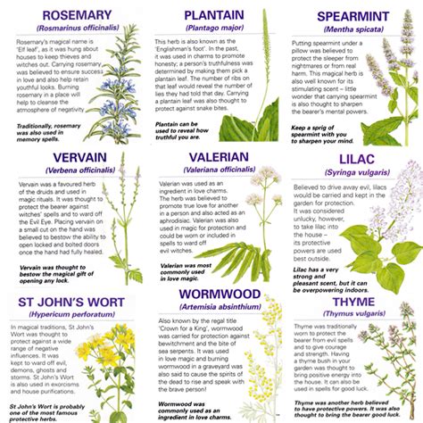 A Handy Guide To The Magical Properties Of Some Common Herbs Magical