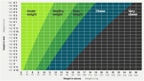 This is one of the most popular weight assessments which is being utilized today. What Is Ideal Weight For 5 6 Female In Stones - Blog Dandk