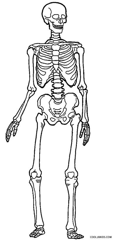 Spending time with coloring pages allows kids to learn a lot about drawing as well as different colors while they may. Printable Skeleton Coloring Pages For Kids | Cool2bKids