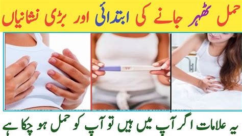 Otherwise, laparoscopy will be offered to terminate the pregnancy and keep the fallopian. Hamal Ki Ibtdai Alamat | Early Pregnancy Symptoms | Hamal Ki Alamat In Urdu | Signs Of Pregnancy ...