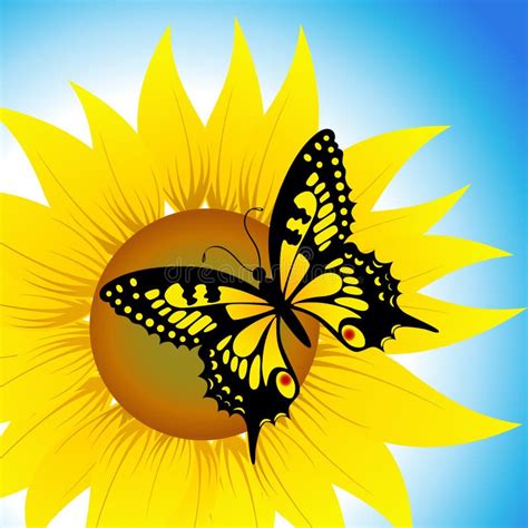 Butterfly Sitting On Sunflower Stock Vector Illustration Of Antenna
