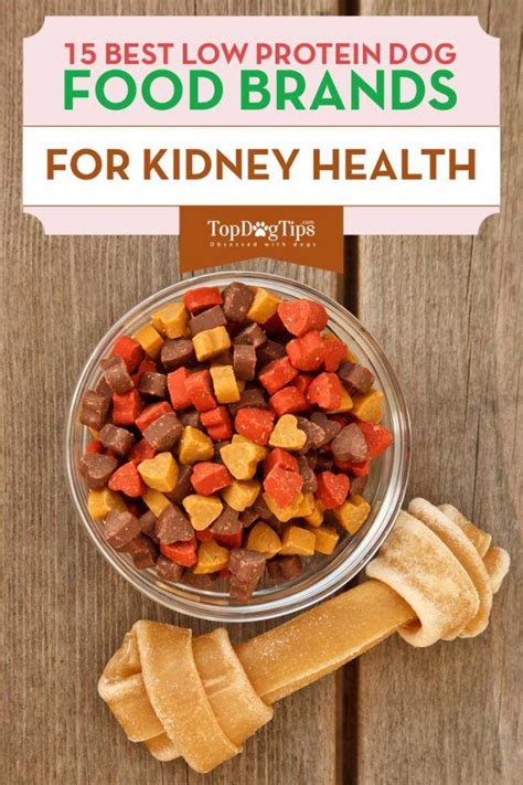 The protein in dry food, therefore, earns a lower biological value score. The Best Low Protein Dog Foods for Kidney, Liver Health ...