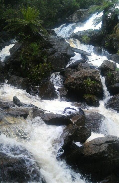 122 Best Waterfalls Tasmania Images On Pinterest